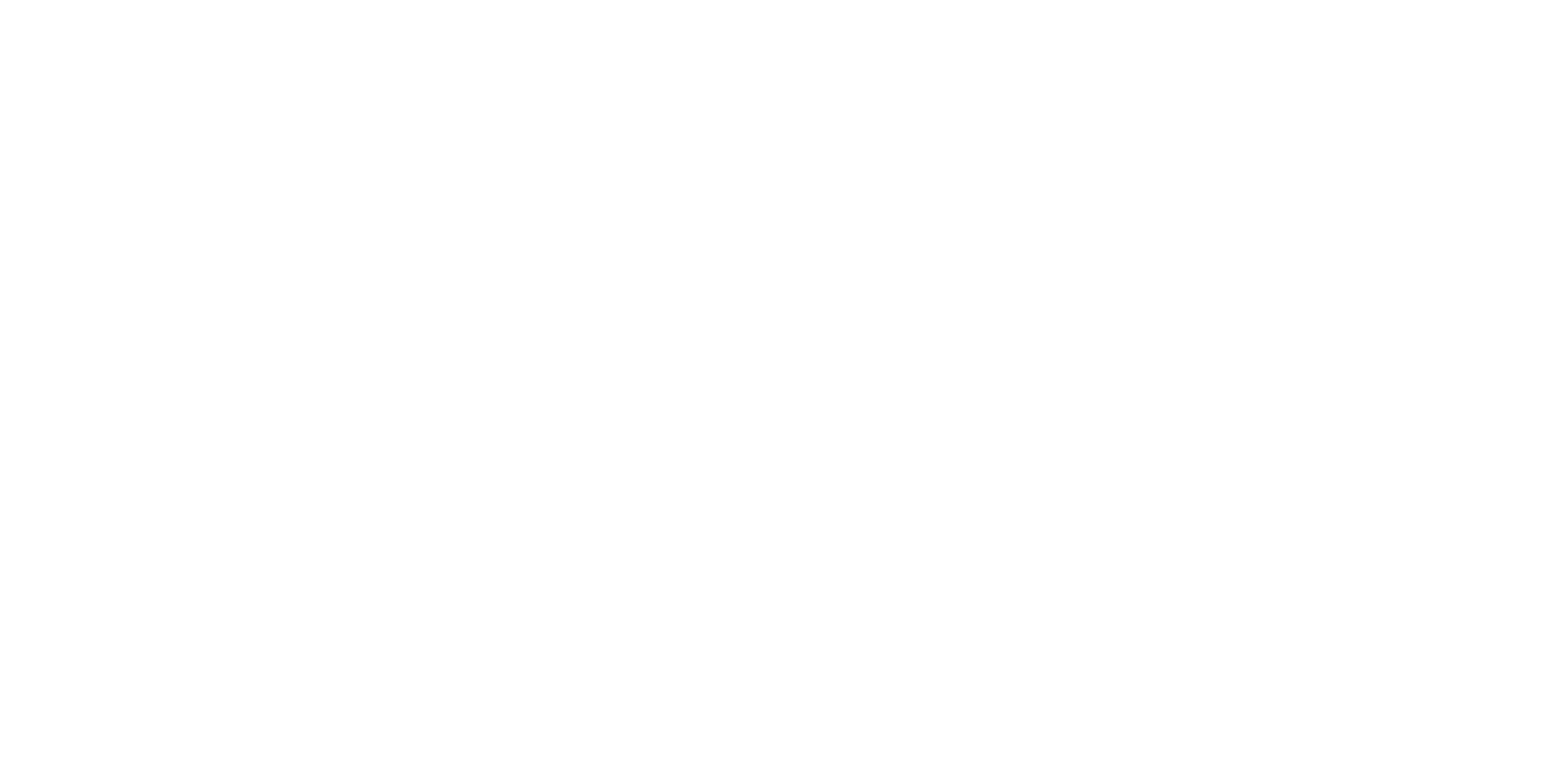 VFD Transparent logo