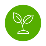 start up icon